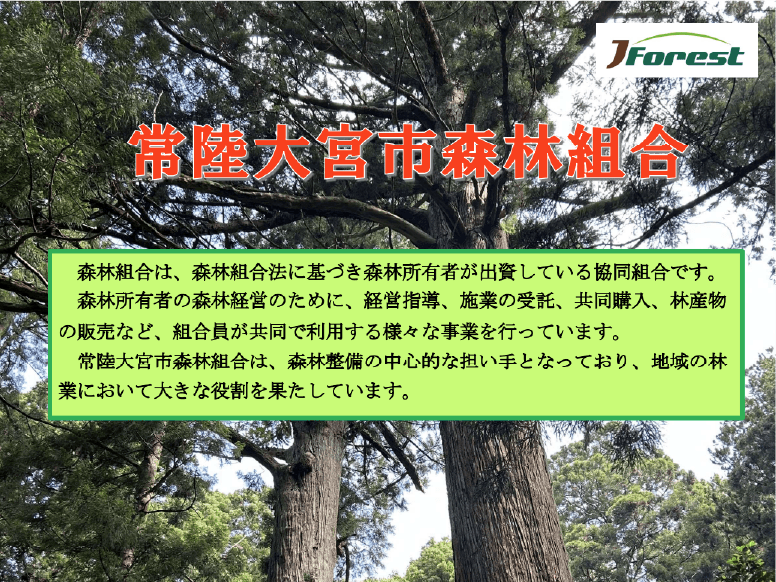 森林組合案内パンフレット